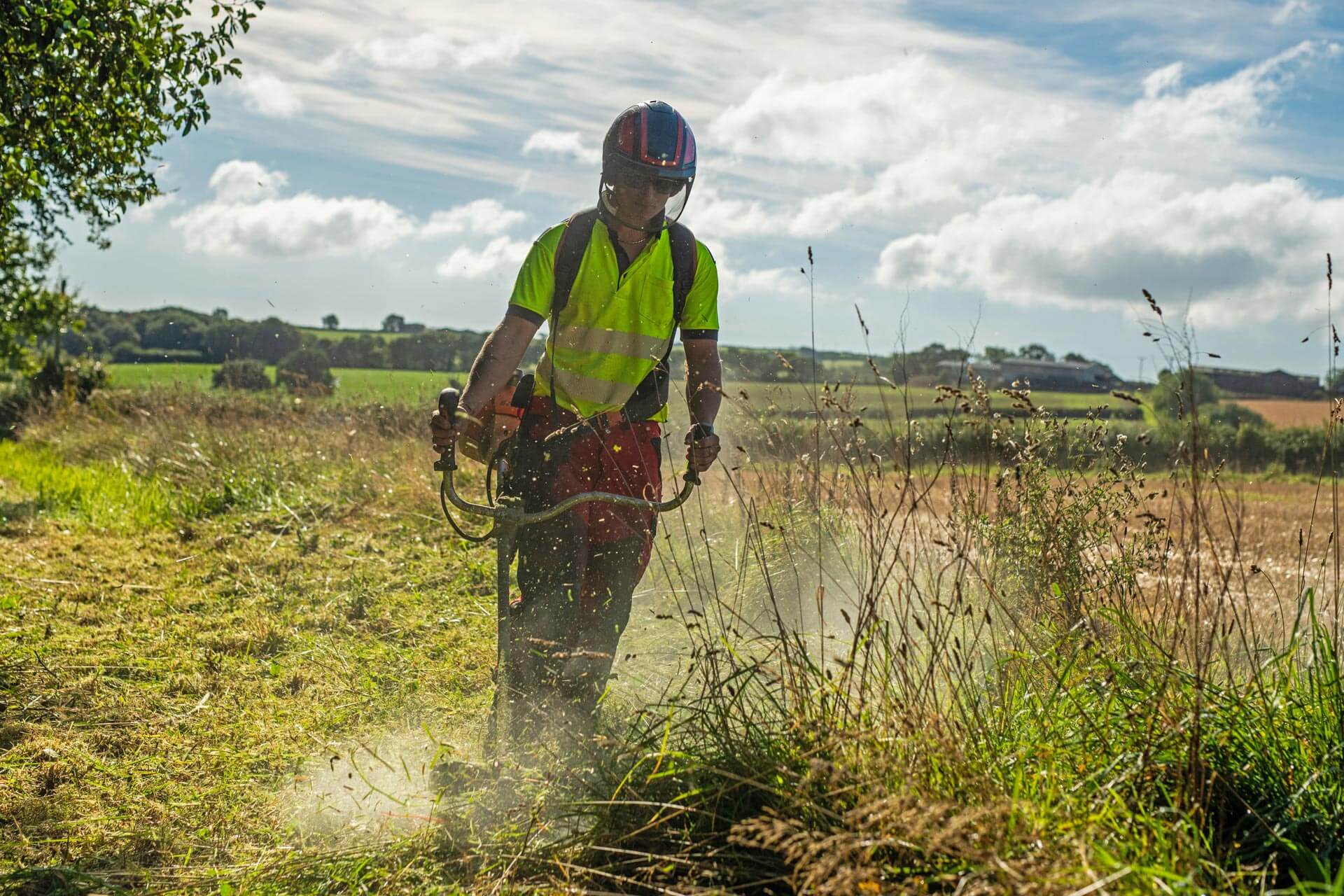 Strimming - Husband Tree and Grounds Maintenance